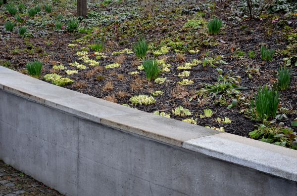 Concrete Wall Construction in Zionsville