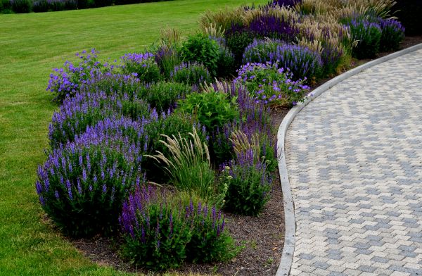 Sidewalk Curb Installation in Zionsville