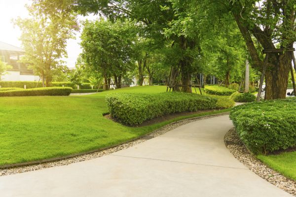 Walkway Concrete Installation in Zionsville