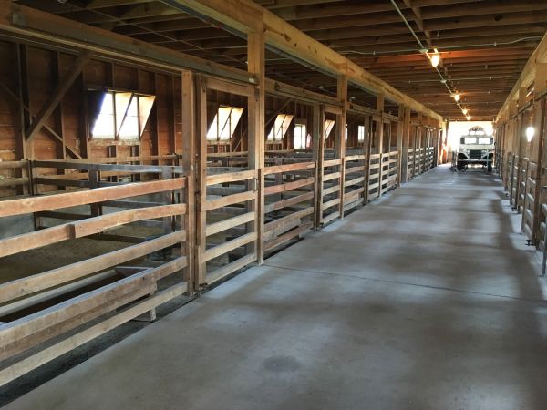 Barn Slab Construction in Zionsville